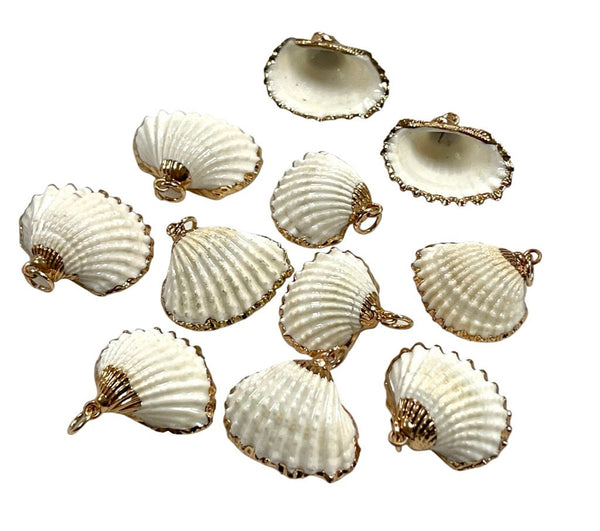 2 Pieces Cowrie Seashell Charm, 2 Pc Gold Plated Seashells, Scallop Beach Shell Ocean Charms For Jewelry Making Bracelets Earrings, Necklace