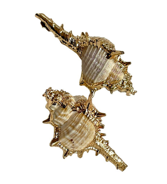 2 Pieces Cowrie Seashell Charm, 2 Pc Gold Plated Seashells, Scallop Beach Shell Ocean Charms For Jewelry Making Bracelets Earrings, Necklace